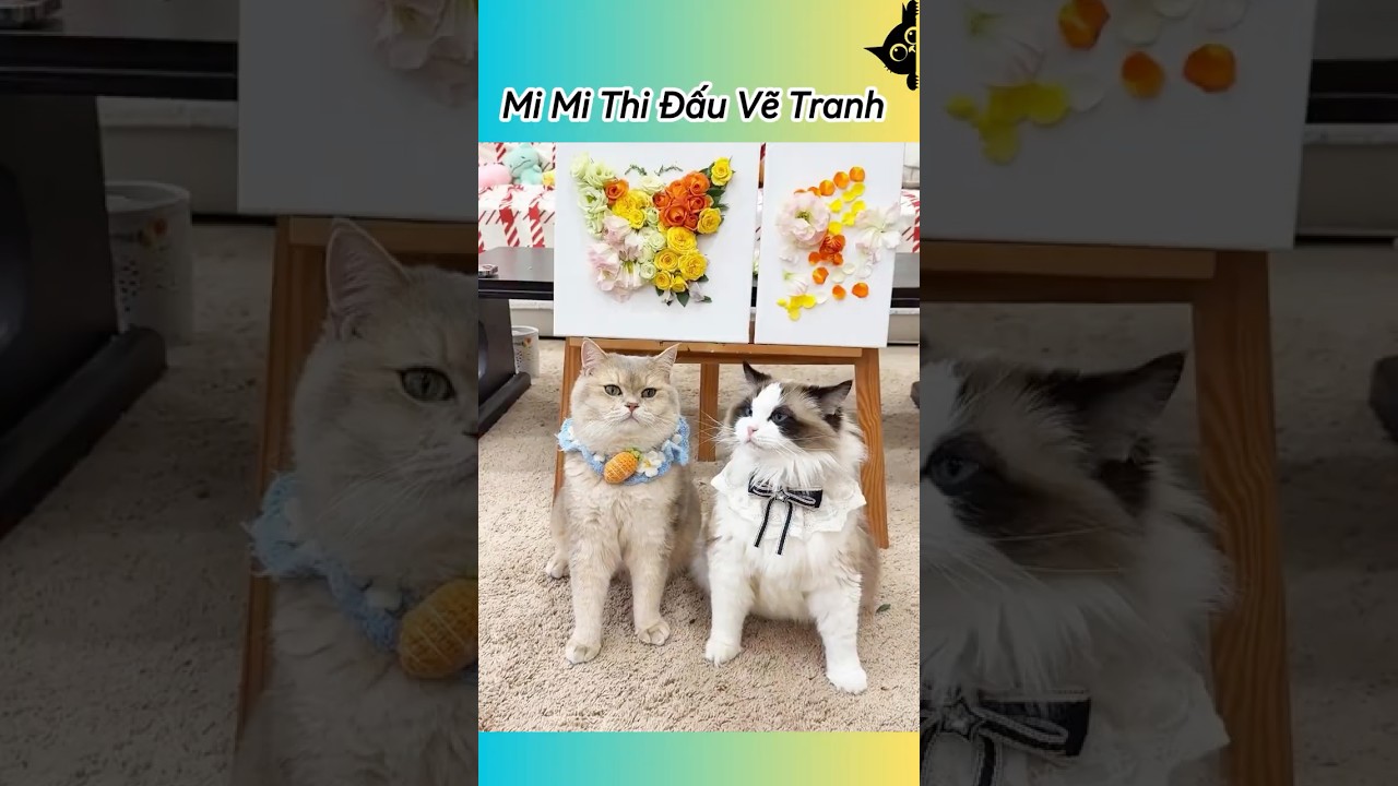 🎨🐱 Con Bạn Xấu Tính Chê Bai MiMi Vẽ Dở Tệ #thúcưng #vậtnuôi #chómèohàihước #funny #pets #cat #cute