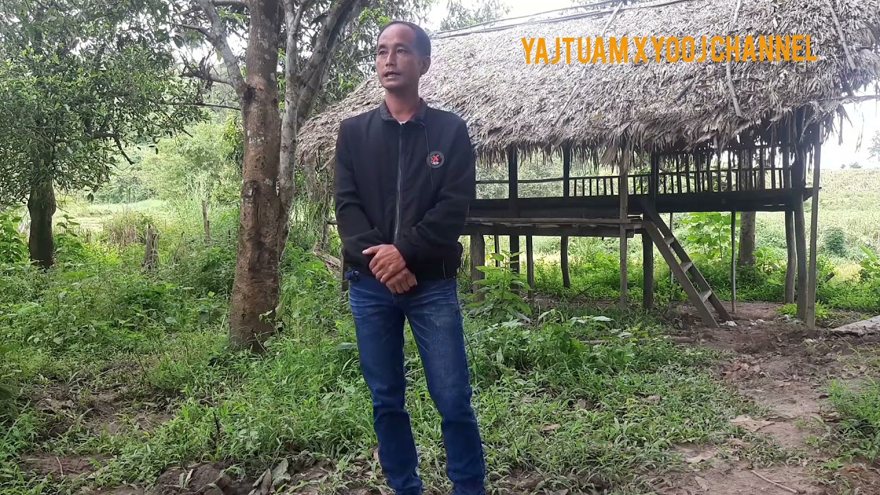 zaj nkauj foom plig zoo heev by txos hawj 20/10/21