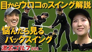 激芯ゴルフ #85　正しいバックスイング　チェックポイント