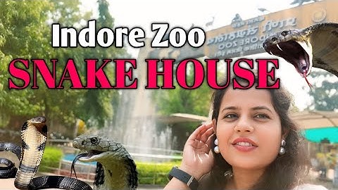 INDORE ZOO | SNAKE HOUSE🐍 I SAW ANACONDA FIRST TIME😱 DANGER SNAKES | KING COBRA | MYVLOG #snake #zoo