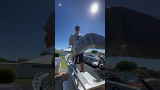 Stowing The Kingfisher Bimini