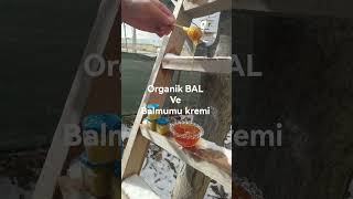 Organik Bal, Çam Balı