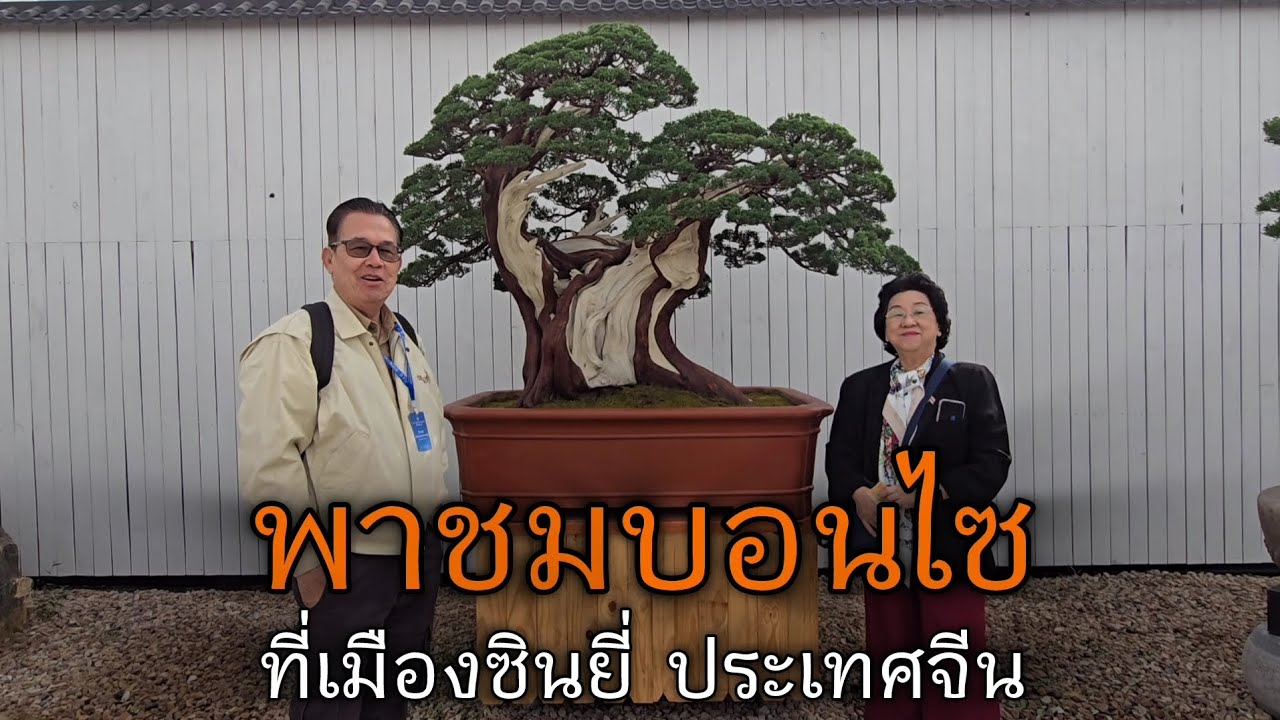 Г-н Пхисит Ария-Аморнкул, президент Тайской ассоциации бонсай, провел для нас экскурсию по планта...