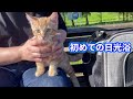 子猫を初めて日光浴に連れて行きました