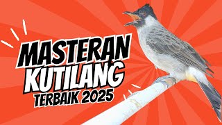 100% Ampuh Untuk Masteran Burung Kutilang Agar Cepat Bunyi dan Gacor! 100% Ampuh Untuk Masteran Burung Kutilang Agar Cepat Bunyi dan Gacor!