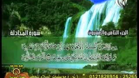 الشيخ محمد حسان سورة المجادلة