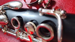 Beginner Clarinet Lesson 1: Putting Together and Blowing into your Clarinet 