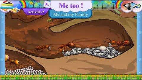 Std 7 English sem 2 Unit 5 Activity 2