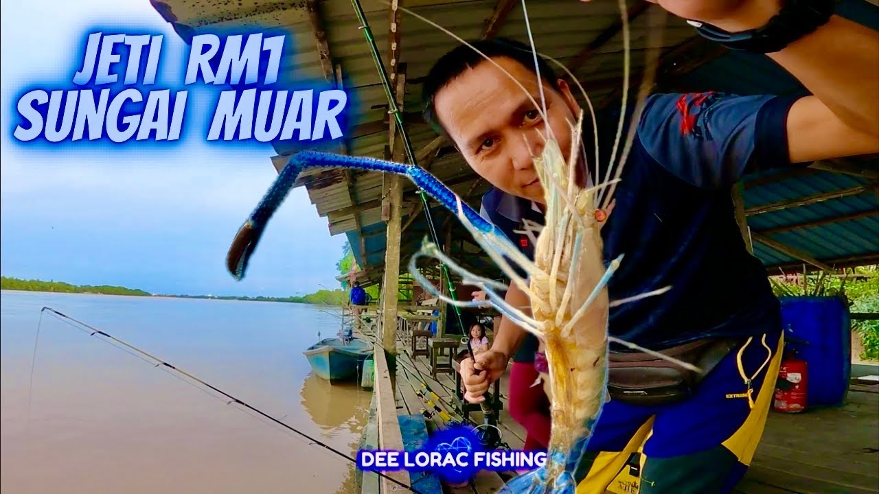 P225 Mancing udang galah di jeti suhaimi sungai muar part 2