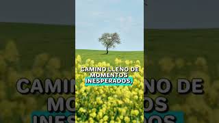 “No es el momento perfecto… es el plan de Dios: confía, espera y verás el milagro” ✨