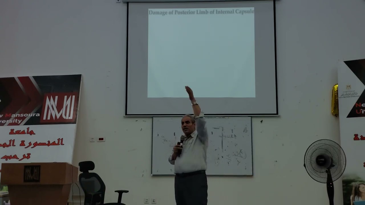 Physiology of UNML and LNML and Spinal Cord Lesion
