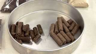 Rick Machen - Cattle Nutrition - Cattle Protein Cubes and Cakes