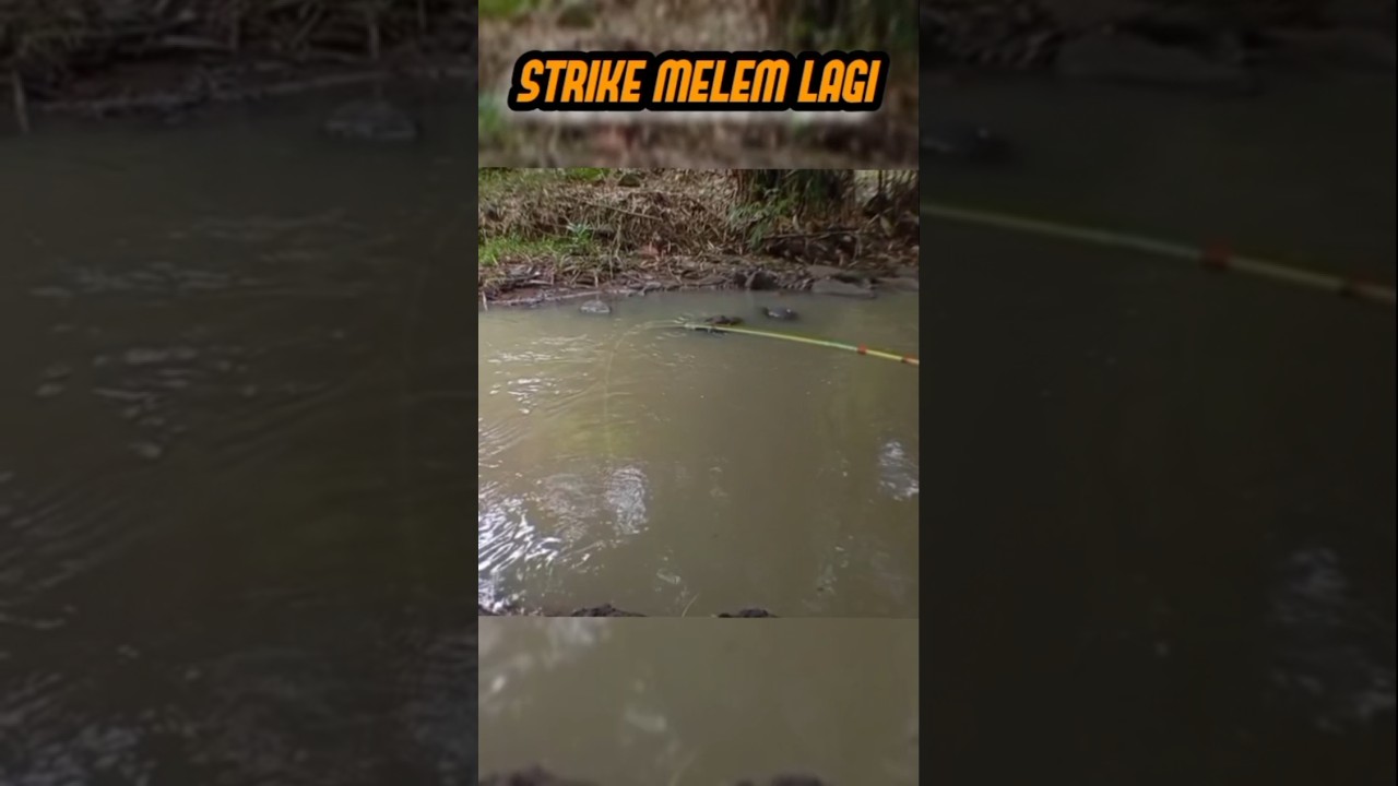 strek melem lagi boy jos 