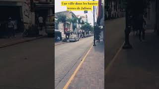 #Français #2023 #Jalisco #Arandas ????☕️ La ville d'Arandas est très diversifiée.