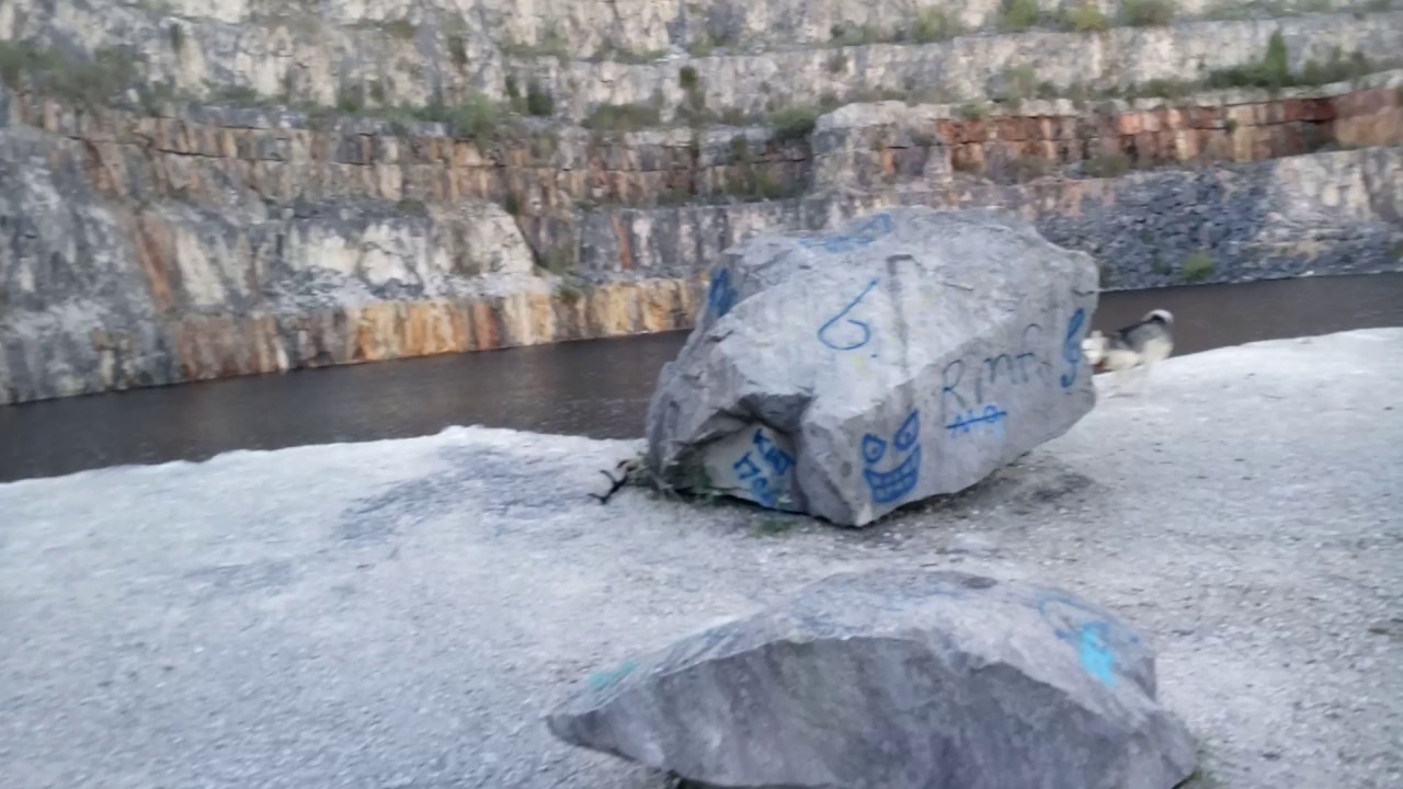 No more newts in Wirksworth quarry 2 months later