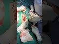 ### herniated disc operation