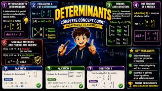 Basics of Determinants: Adjoints, Inverses, and Applications