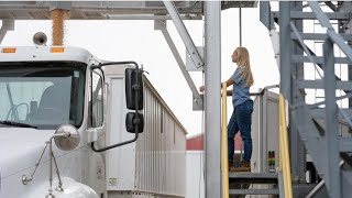 Corn bin is unplugged! hauling, chainsawing, sheep cameos and more