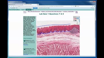 Blackboard Quiz   Exam taking video