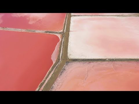 Рожеві солоні озера. Україна. Моя країна