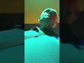 Автор канала в ресторане "Атлантика"