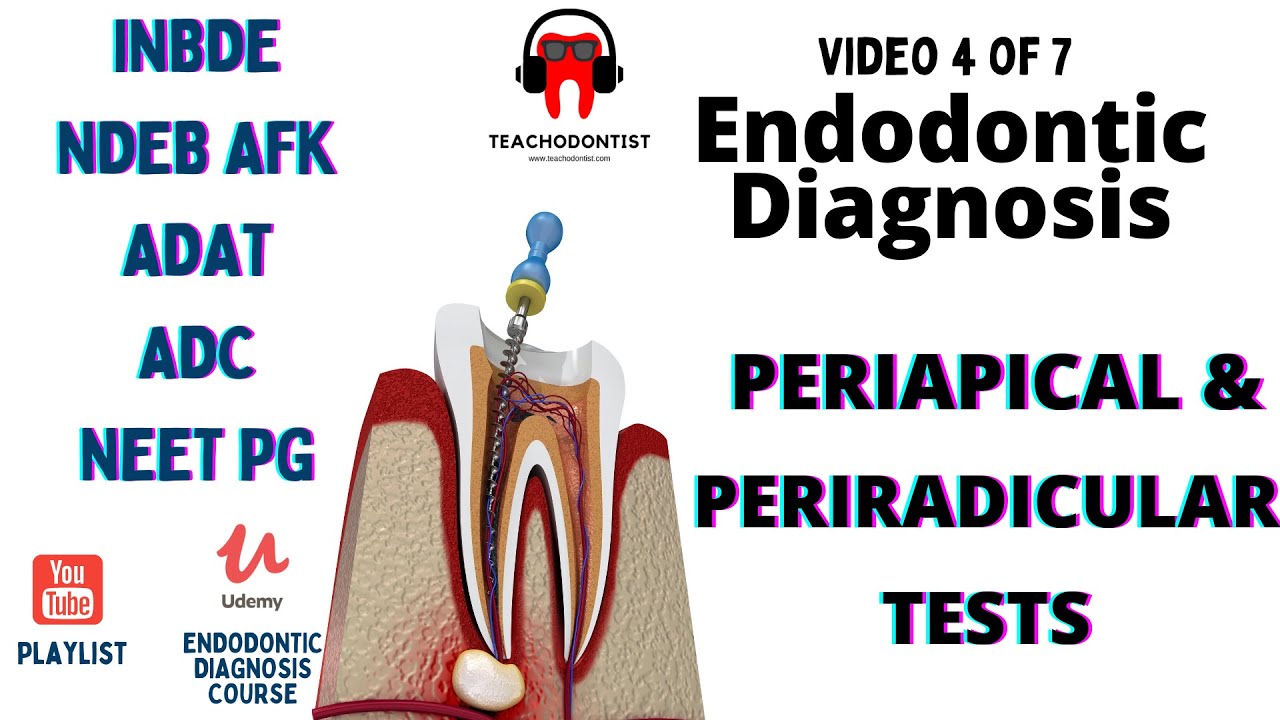 ENDODONTIC DIAGNOSIS COURSE part 4/7 Periapical & Periradicular Tests