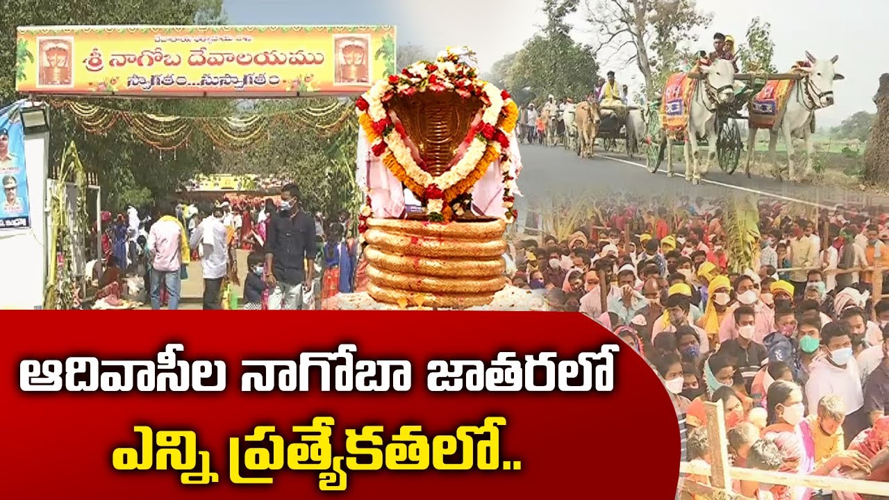 Nagoba Jatara History | ఆదివాసీల ఐకమత్యానికి ప్రతీక |నాగోబా జాతర || Idisangathi