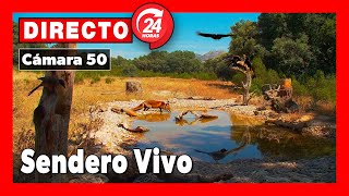 Sendero Vivo 🔴 DIRECTO Navalagamella (Cámara 50 | Madrid)