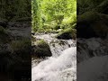 Relaxation music short #relaxing