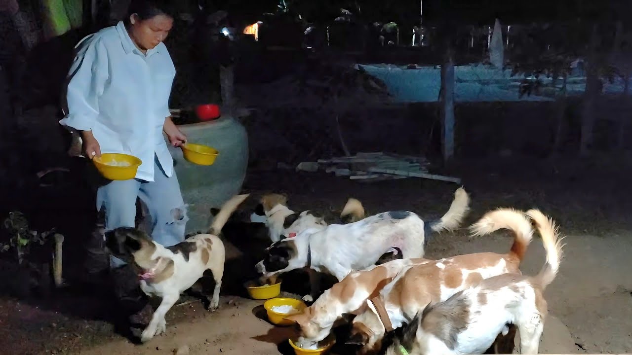 662.  Life in the Cambodian Countryside.