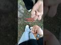HELP…. #recommended #therian #viral #fypシ #therianthropy #funny #joke #humor #floptok #foryou