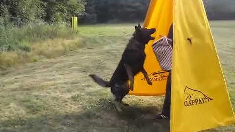 received 522046761542277