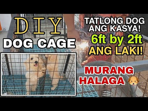 Video: Paano Bumuo Ng Isang Kulungan Ng Aso Para Sa Isang Aso