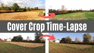 Planting Cover Crop Over Our Septic Leach Field | TIME LAPSE