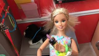 Baby Alive Ashley Takes Daisy To The Vet