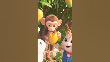 🐒🥭 Khỉ Hái Xoài Cho Thỏ & Mèo – Sáng Sớm Vui Nhộn 🌅#shots