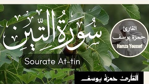 سورة التين || القارئ حمزة يوسف || Hamza Youssef || surat at-tin