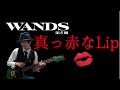【おかえり】WANDS 第5期 - 真っ赤なLip guitar cover(名探偵コナン新OPテーマ)