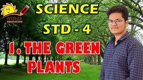 Class 4 Science Chapter 1 - Science Class 4 Chapter 1 - Green Plants - NCERT - CBSE - Green Plants