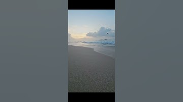 القران الكريم القارئ عمر الهاشمي سوره الملك