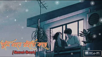 Tumi Na hoi Rohite Kache Aro kichukkhon Na hoi Rohite Kache /Slowed & Reverb / Lofi music songs 🥰💫