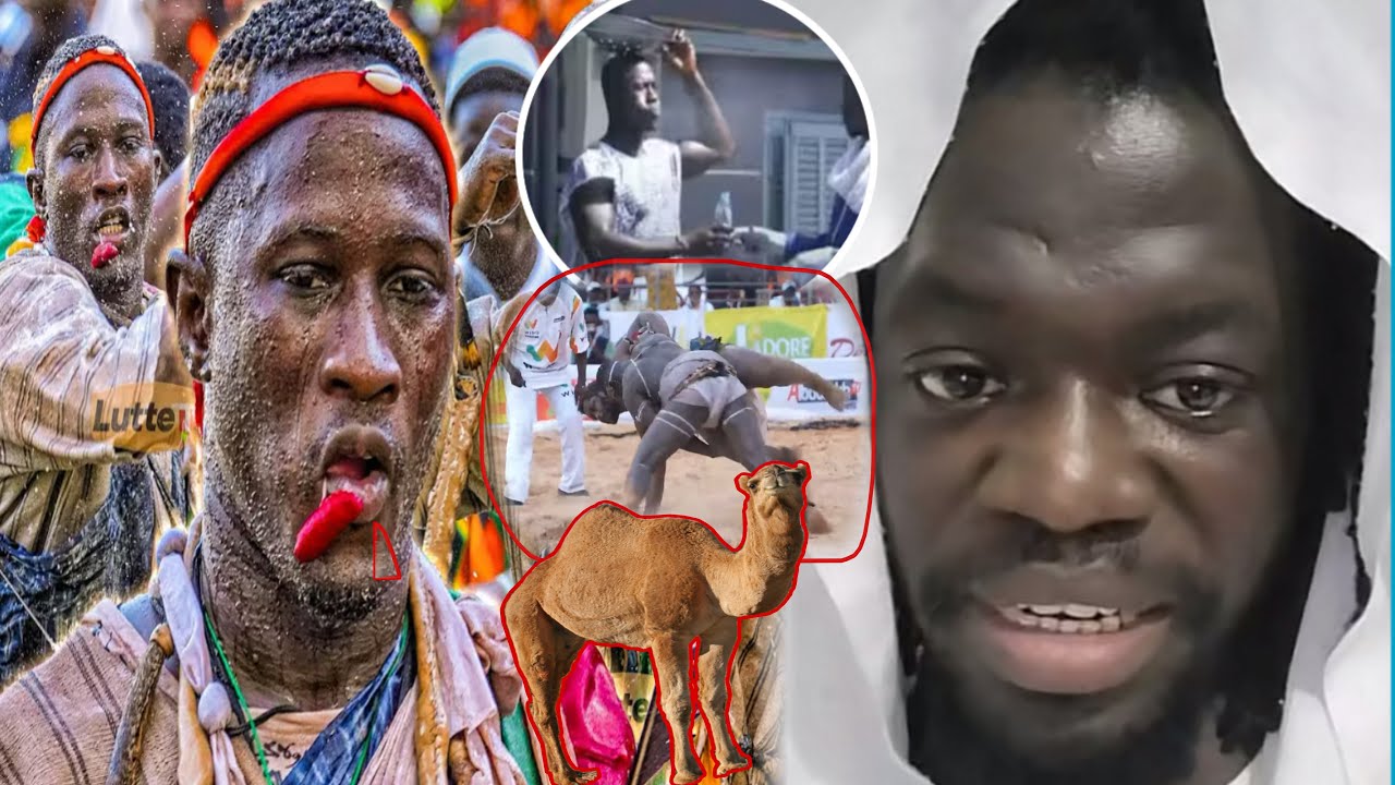 Allahou akbar😱Serigne Abdallah Diouf ada Tay dafa Nieuw ma Diokh ko Guilém gui,Liss Ndiago…