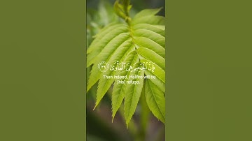 تلاوة هادئة تريح الأعصاب 💙 🎧 قران كريم بصوت جميل جدا سورة النازعات 🌱