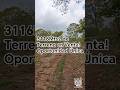 3116Mts2 de Terreno en Venta! (41.92Mts x81.86Mts) Oportunidad Única