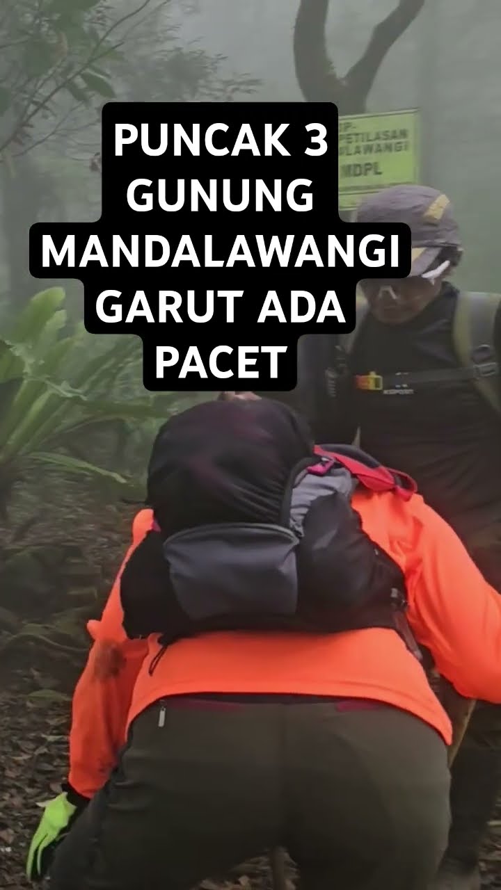 Pendakian Nyapai Ke Puncak 3