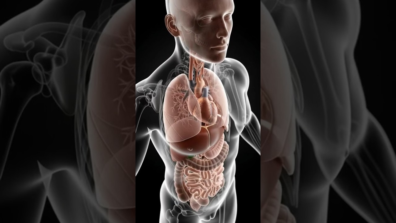 Doctors Warn: This Daily Drink May Increase Cancer Risk 😱