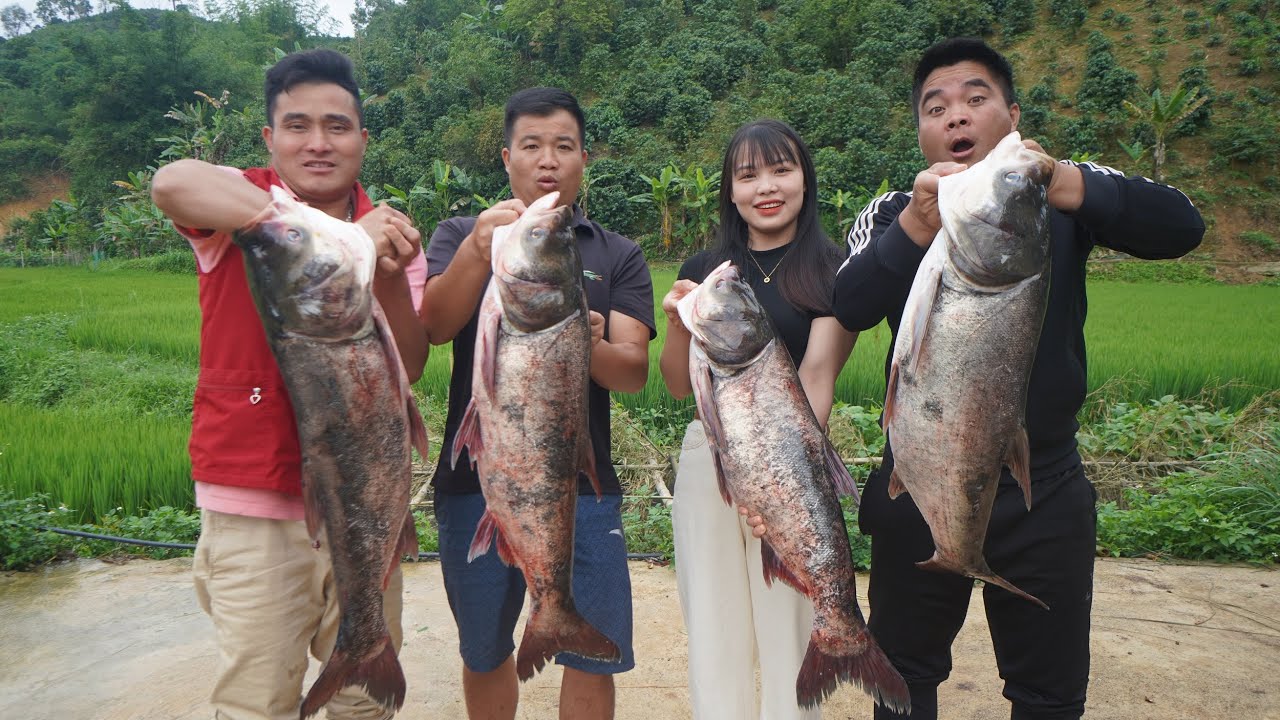 Các món ngon từ Cá trên vùng cao | Nhịp Sống Tây Bắc