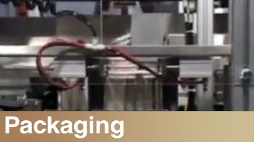 Tray Stacking Conveyor by Shuttleworth