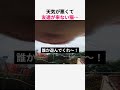 天気が悪くて友達が来ない猫…