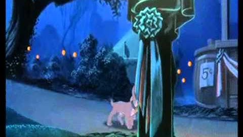 animash everytime we touch